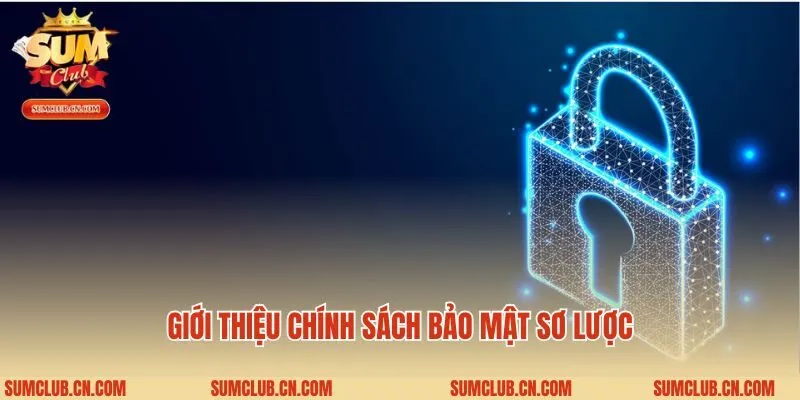 Giới thiệu chính sách bảo mật sơ lược