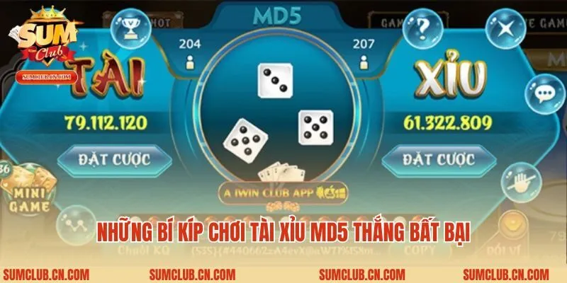 Những bí kíp chơi tài xỉu MD5 thắng bất bại